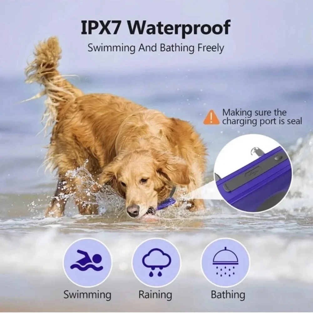 Dog Shock Collar for Large Dog, Rechargeable Dog Training Collar